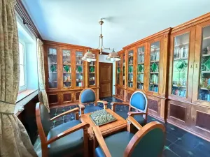 Pronájem vily, Nový Knín, 450 m2