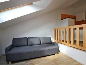 Pronájem bytu 1+kk, Brno, Koliště, 23 m2