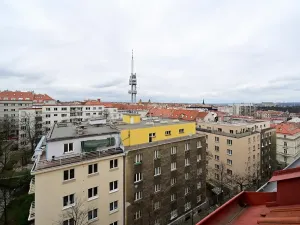 Pronájem bytu 2+1, Praha - Žižkov, Baranova, 85 m2