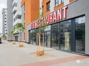 Pronájem bytu 1+kk, Praha - Vysočany, Gerstelova, 43 m2