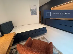 Pronájem bytu 1+kk, Brno, Koliště, 22 m2