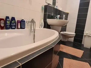 Pronájem bytu 2+kk, Praha - Horní Měcholupy, R.A. Dvorského, 69 m2