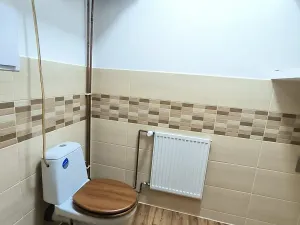 Pronájem bytu 2+1, Chabařovice, 50 m2