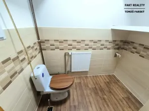 Pronájem bytu 2+1, Chabařovice, 50 m2