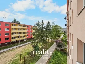 Pronájem bytu 3+1, Znojmo, Pražská sídl., 65 m2