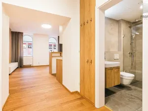 Pronájem bytu 2+kk, Brno, Stavební, 58 m2