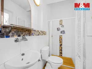 Prodej rodinného domu, Soběhrdy - Žíňánky, 298 m2