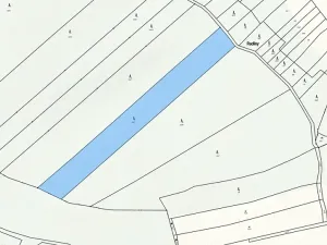 Prodej lesa, Strmilov, 10311 m2