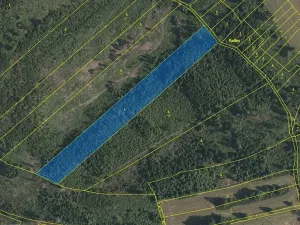 Prodej lesa, Strmilov, 10311 m2