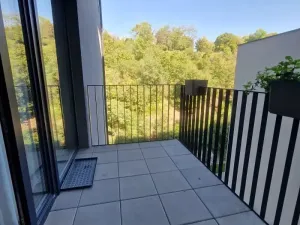 Pronájem bytu 1+kk, Praha - Žižkov, Hartigova, 37 m2