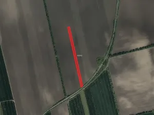 Prodej pole, Lipov, 13549 m2