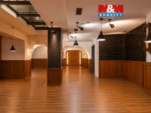Prodej obchodního prostoru, Olomouc, Riegrova, 890 m2