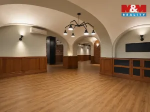Prodej obchodního prostoru, Olomouc, Riegrova, 890 m2