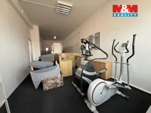 Pronájem obchodního prostoru, Karviná - Mizerov, Centrum, 166 m2