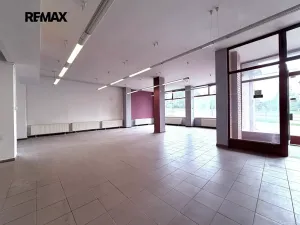 Pronájem obchodního prostoru, Vyškov, Letní, 171 m2