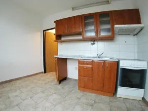 Prodej bytu 1+1, Plzeň, Klatovská, 39 m2