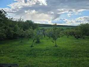 Pronájem zahrady, Dobřenice, 3673 m2
