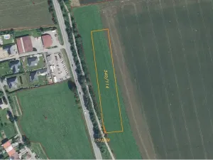Prodej pole, Dlouhá Třebová, 11872 m2