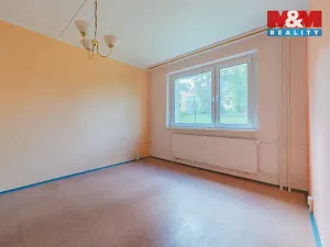 Prodej bytu 1+1, Aš, Neumannova, 39 m2