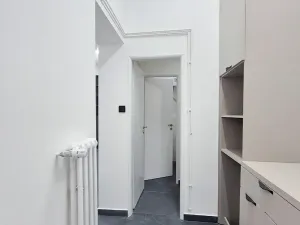 Pronájem obchodního prostoru, Praha - Josefov, Břehová, 54 m2