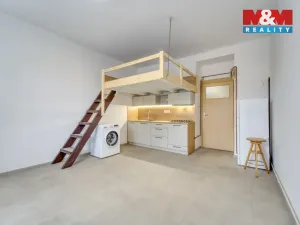 Prodej bytu 1+kk, Praha - Žižkov, V domově, 24 m2