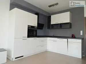 Pronájem bytu 1+kk, Brno, Střední, 38 m2