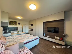 Pronájem bytu 1+kk, Brno, Reissigova, 36 m2