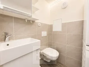 Pronájem bytu 1+kk, Brno, Drobného, 23 m2