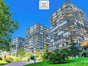 Pronájem bytu 2+kk, Praha - Žižkov, Pitterova, 45 m2