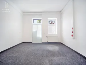 Pronájem kanceláře, Mladá Boleslav, 305 m2