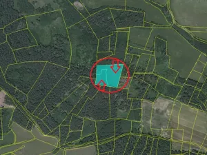 Prodej podílu lesa, Milejovice, 1918 m2