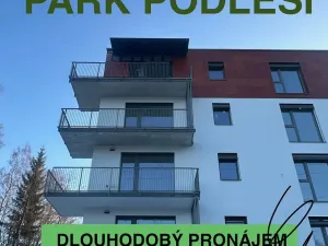 Pronájem bytu 1+kk, Jablonec nad Nisou, Jezdecká, 42 m2