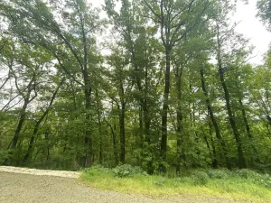 Prodej lesa, Silůvky, 1739 m2