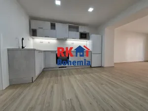 Pronájem bytu 3+kk, Praha - Žižkov, Zelenky-Hajského, 72 m2