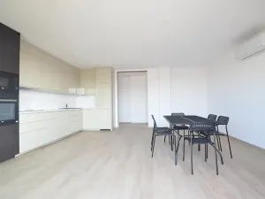 Pronájem bytu 4+kk, Poděbrady, Dr. Kryšpína, 114 m2