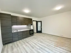Pronájem bytu 1+kk, Praha - Holešovice, Na Maninách, 33 m2