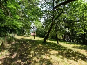 Pronájem zahrady, Stříbrná Skalice, 1015 m2