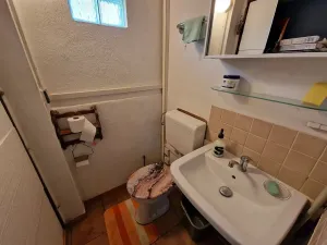 Prodej chaty, Viničné Šumice, 100 m2