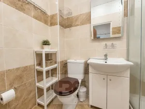 Pronájem bytu 2+1, Brno, Slatinská, 45 m2