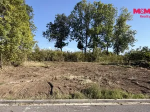 Prodej pozemku pro bydlení, Čepí, 931 m2