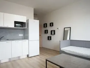Pronájem bytu 1+kk, Brno, Gajdošova, 33 m2