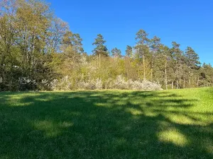 Prodej pozemku pro bydlení, Lažánky, 3287 m2
