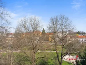 Pronájem bytu 1+kk, Hradec Králové, Dlouhá, 25 m2