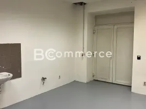 Pronájem výrobních prostor, Brno, 698 m2