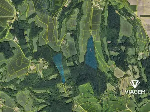 Prodej podílu lesa, Lípa, 1564 m2