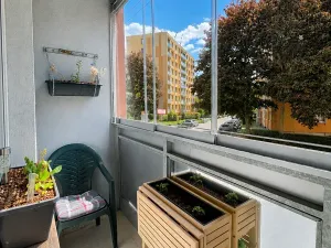 Prodej bytu 5+1, Vamberk, Struha, 87 m2