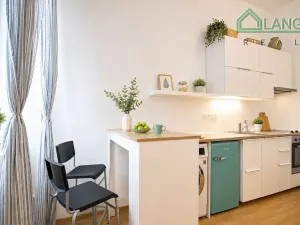 Pronájem bytu 1+kk, Brno, Koliště, 21 m2