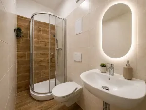 Pronájem bytu 1+kk, Brno, Francouzská, 22 m2