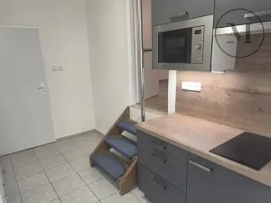 Pronájem bytu 1+kk, České Budějovice, Jírovcova, 28 m2