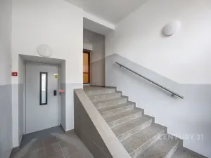 Prodej bytu 2+1, Plzeň, Ořechová, 68 m2